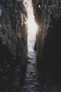 ufjournalの画像